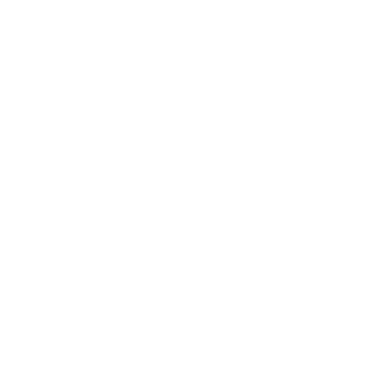 tax icon